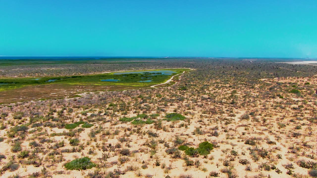 Wide aerial desert landscape with low shrubs, green marsh areas, water, and a clear sky.