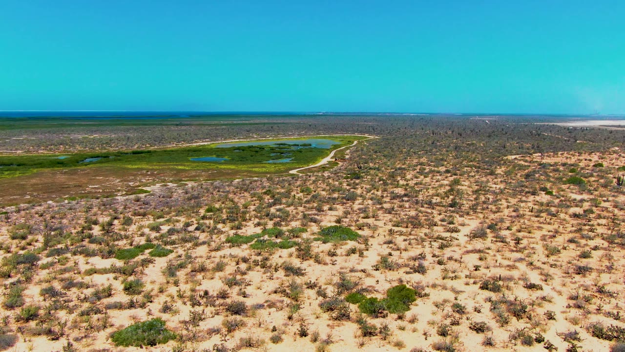 Mid-clip aerial view near San Carlos, Baja California Sur, Mexico, showing dry scrubland, pale sand, small blue ponds near green vegetation, a flat distant horizon, and no visible people.