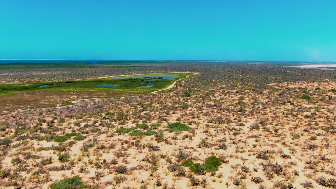 Aerial desert scene with scrub, wetland greens, a winding pale track, and blue sky.