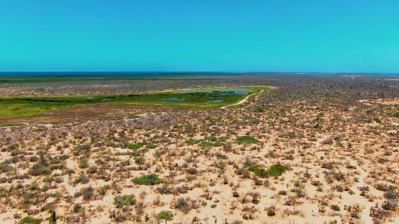 Elevated desert landscape with sparse bushes, green wetland area, water pools, and clear sky.