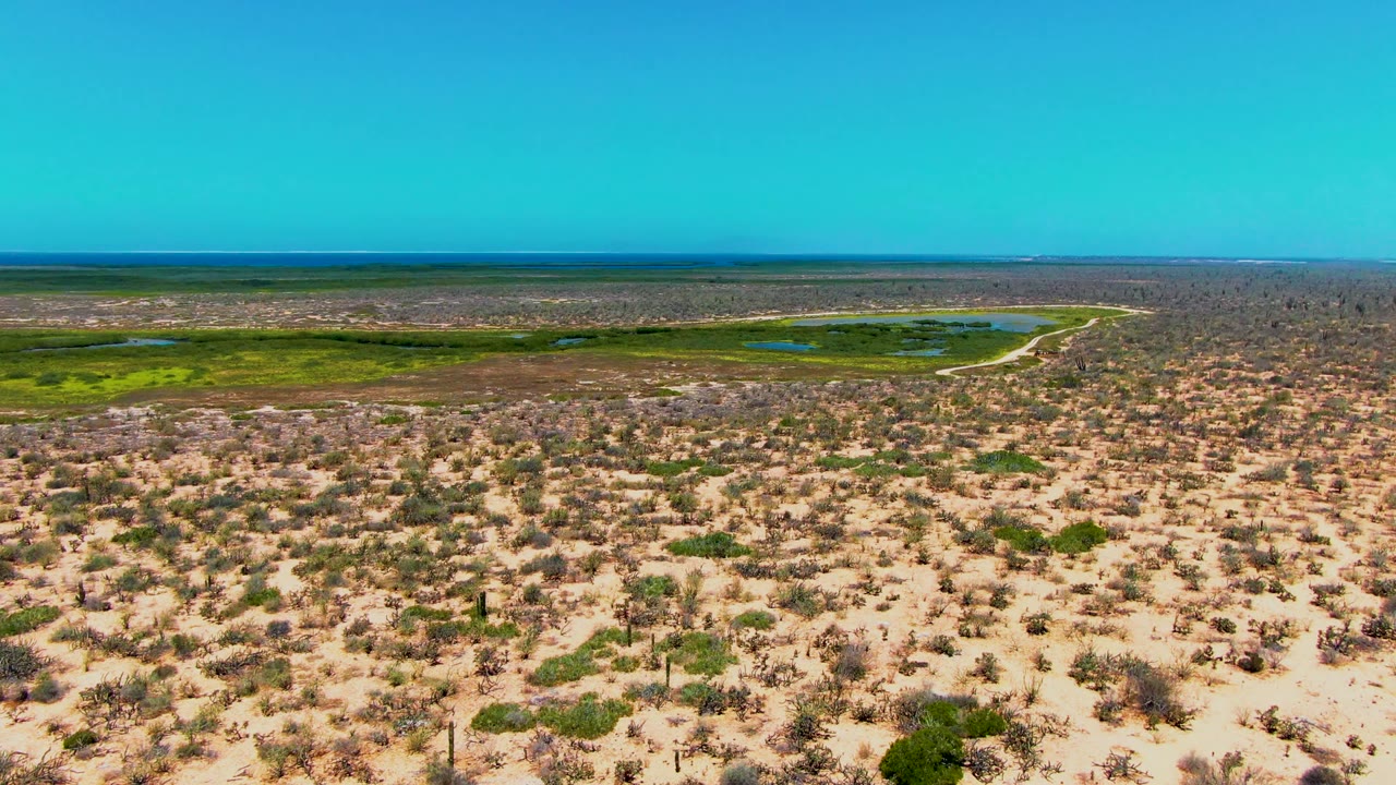 Aerial desert scrub with green wetland curving near the horizon under clear blue sky.