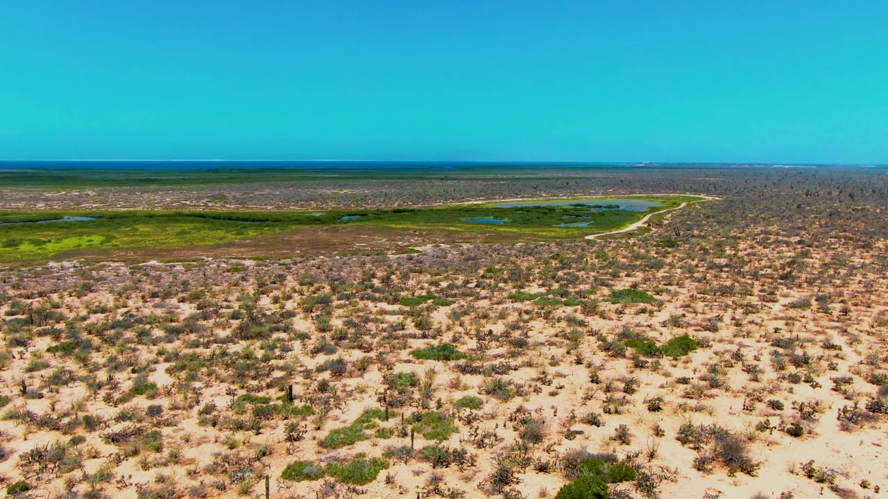Third frame shows San Carlos desert scrub stretching toward a bright green wetland, with small reflective water patches, a long flat horizon, clear sky, and no visible people.