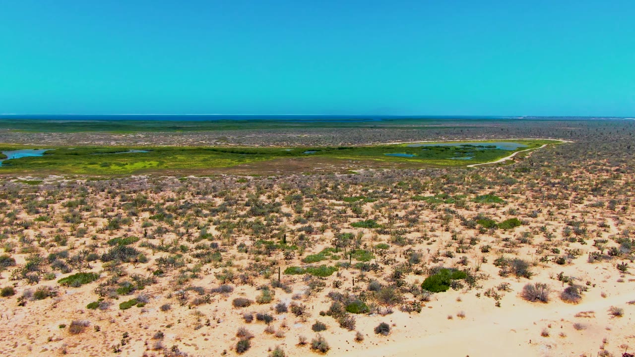 Wide aerial frame over San Carlos, Baja California Sur, showing sandy desert scrub in front of green wetland patches under a clear blue sky, with no visible people.