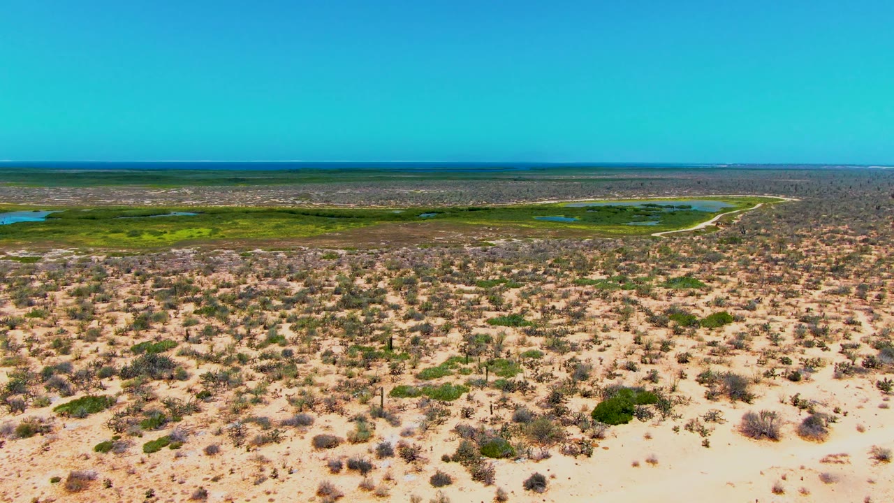 Aerial desert landscape with scattered shrubs and wetland water near the horizon.