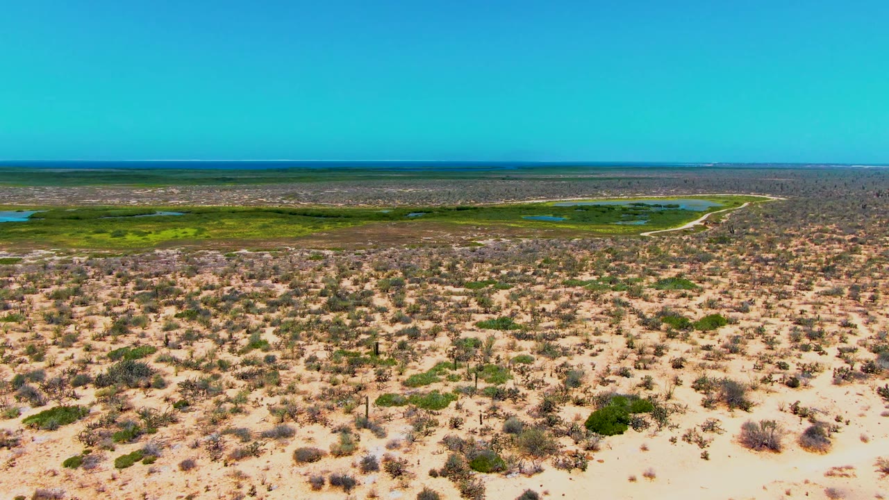 San Carlos desert terrain stretches across the frame with sparse shrubs, a distant green wetland, small blue water patches, and no visible people.