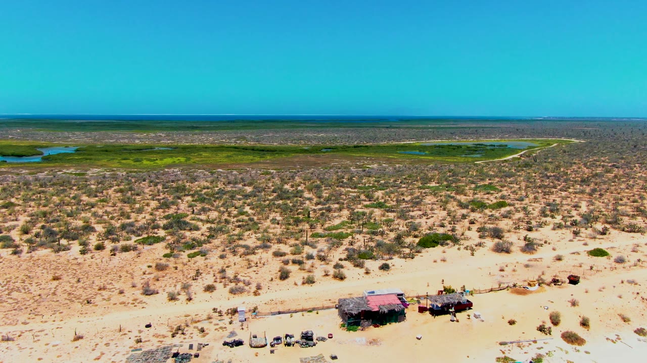 Drone perspective over San Carlos desert terrain, with clustered vehicles and roofed shelters along the lower edge and a bright green wetland band behind the scrubland.