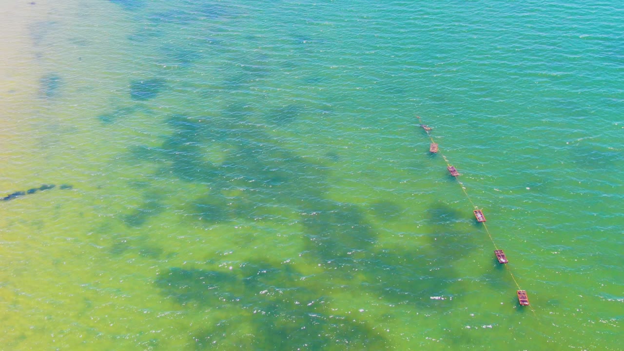 Aerial view in San Carlos, Baja California Sur of red buoys forming a diagonal line across clear green-blue shallow water with darker underwater patches and no visible people.