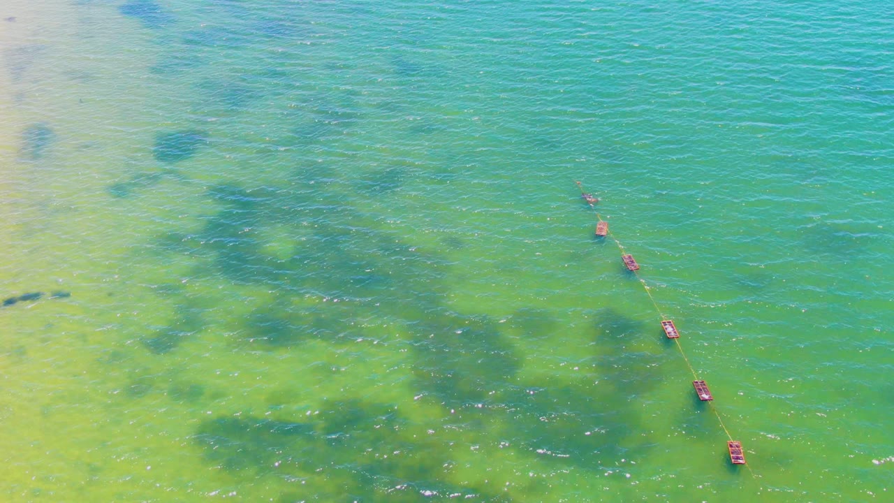 Diagonal red buoy line over rippled shallow water