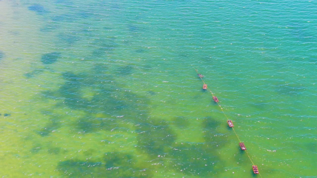 High aerial view in San Carlos, Baja California Sur with red buoys crossing the right side of clear shallow water and darker algae-like patches visible below, with no visible people.