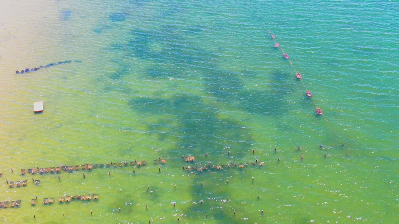 Aerial frame from San Carlos, Baja California Sur showing swimmers scattered near the lower edge of shallow green water, sandy shallows at left, dark underwater patches, and red buoys running diagonally across the right side.
