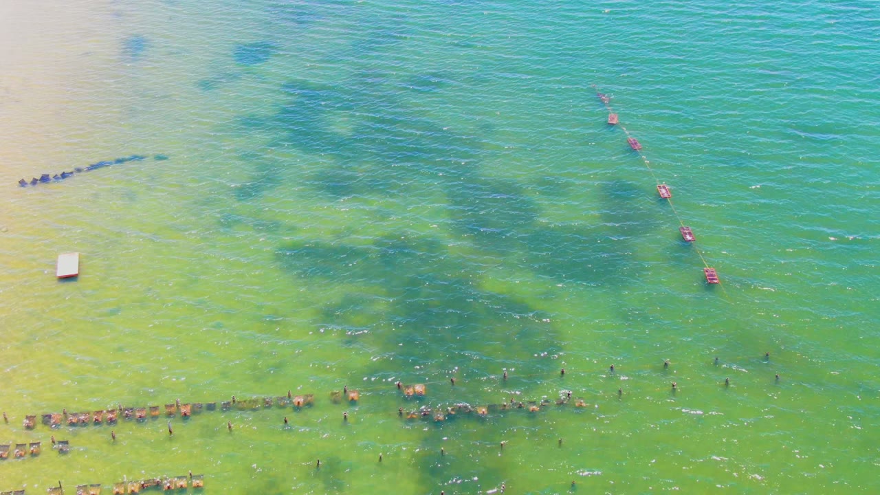 Swimmers wade through shallow coastal water beside a diagonal buoy line.