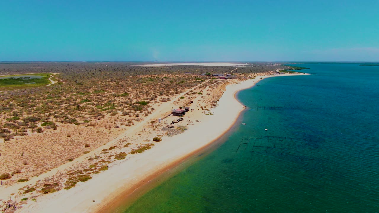 Curving sandy shoreline beside turquoise water and arid vegetation.