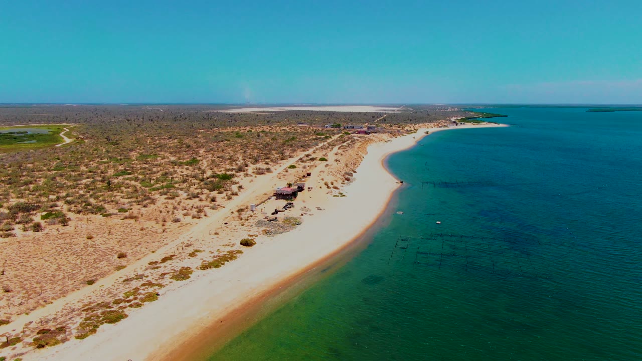 Aerial view of the San Carlos coast with pale sand running diagonally through the frame, sparse desert vegetation inland, calm blue water offshore, and no visible people.