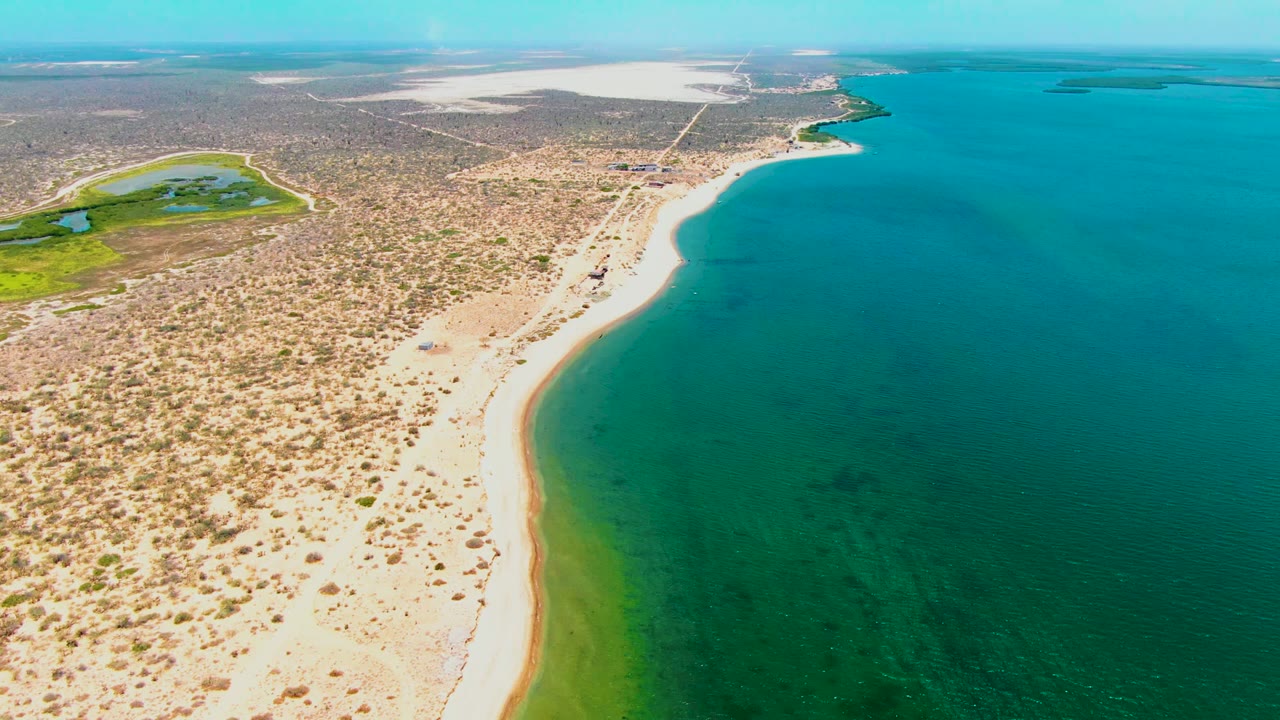 Aerial frame over San Carlos, Baja California Sur, showing a sandy beach curving along turquoise water, dry scrubland inland, a green wetland patch at upper left, and no visible people.