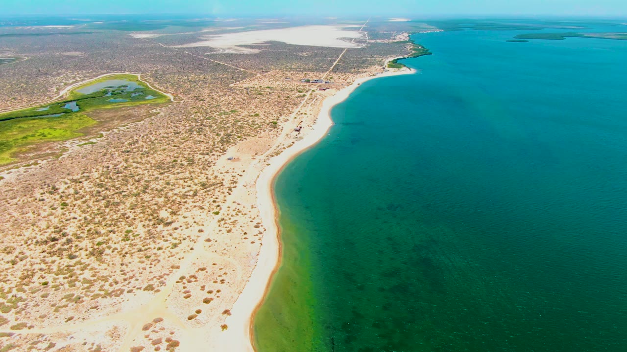 Aerial frame over San Carlos, Baja California Sur, showing a sandy beach between scrubby desert and turquoise coastal water, with a green inland patch and no visible people.