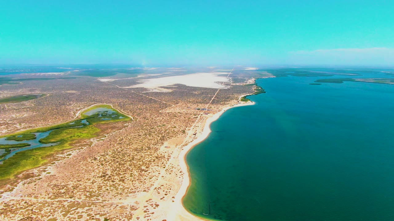High aerial coastline with calm water and sparse desert vegetation.