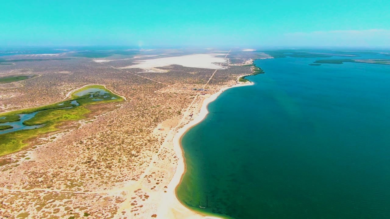 Curving sandy beach borders blue ocean with desert scrub and wetland inland.