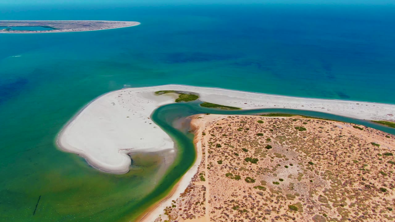 Overhead aerial view in San Carlos, Baja California Sur, showing a white sandbar wrapping around green lagoon water beside tan scrubland, with no visible people.