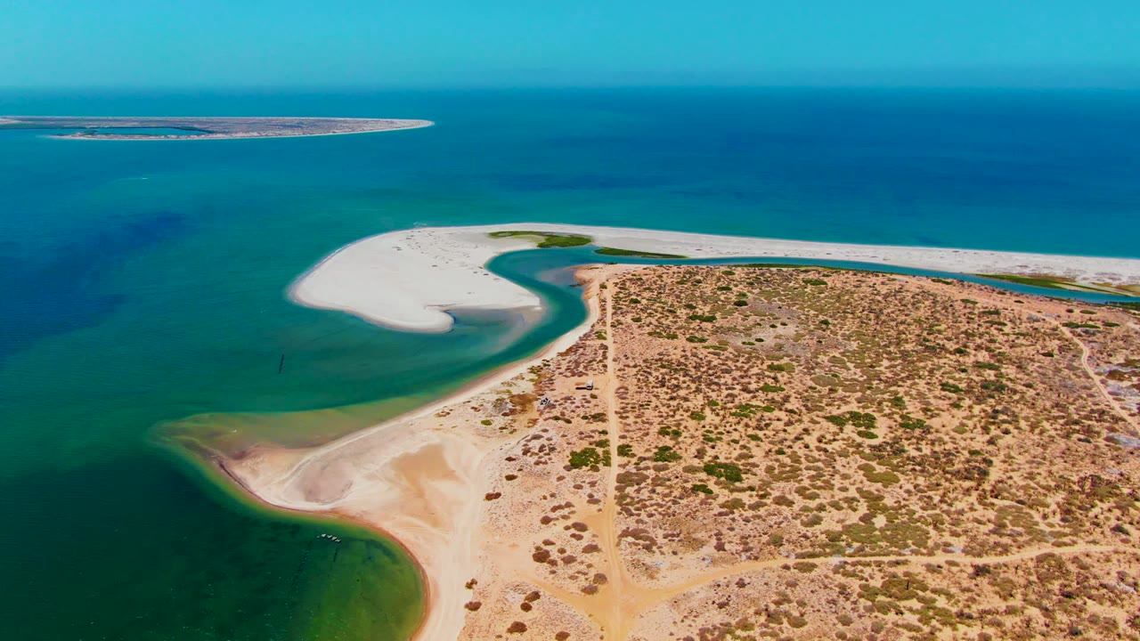 Aerial shoreline with curved sandbar, green-blue shallows, dry vegetation, and horizon.