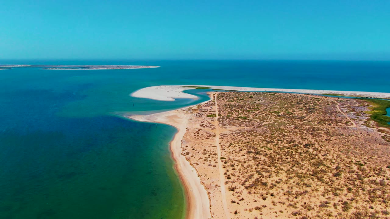 Aerial frame over San Carlos, Baja California Sur, showing a pale sand hook beside clear blue-green water, dry vegetation patterns across the land, a visible dirt road, distant low land offshore, and no visible people.
