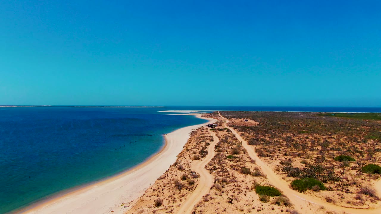 Aerial view over San Carlos, Baja California Sur showing a white sand beach curving beside blue ocean, a sandy track through dry scrubland, and no visible people.