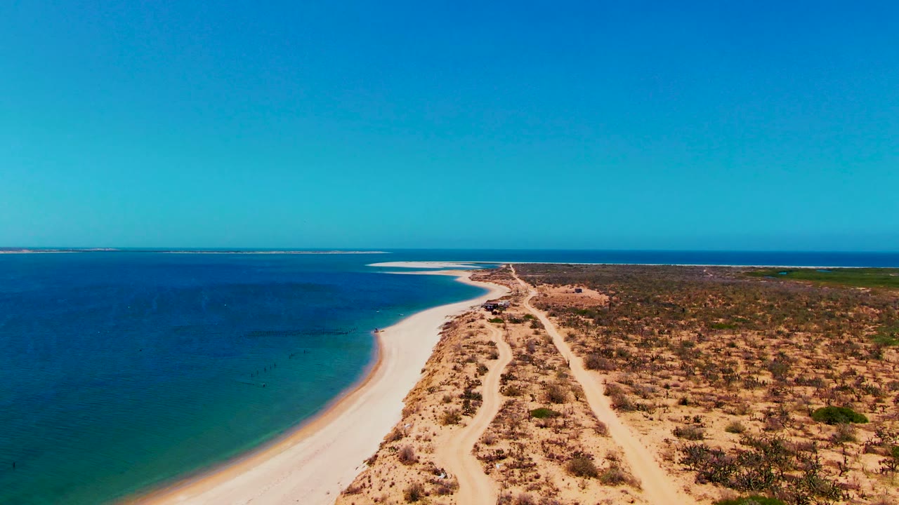 Drone view along a curved beach with ocean, sand road, and sparse vegetation.