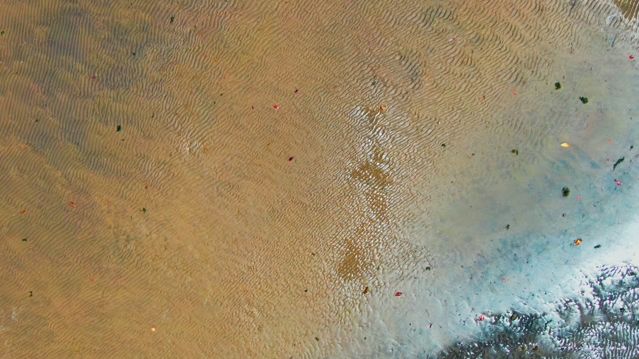 Top-down view of rippled wet sand and pale shallow water on a San Carlos, Baja California Sur beach, with small debris and no visible people.