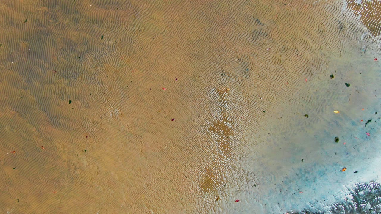 Tan sand ripples beside a pale blue water patch.