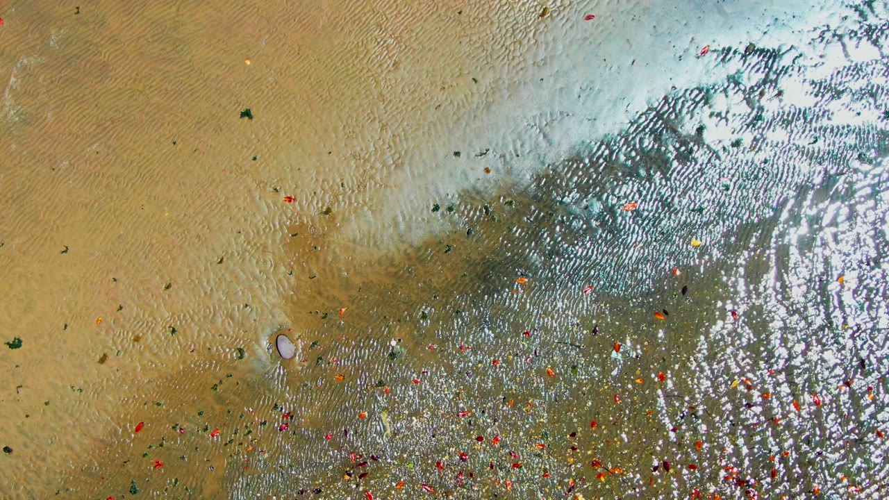 Aerial view of tan sand and reflective water with small debris across the shore.