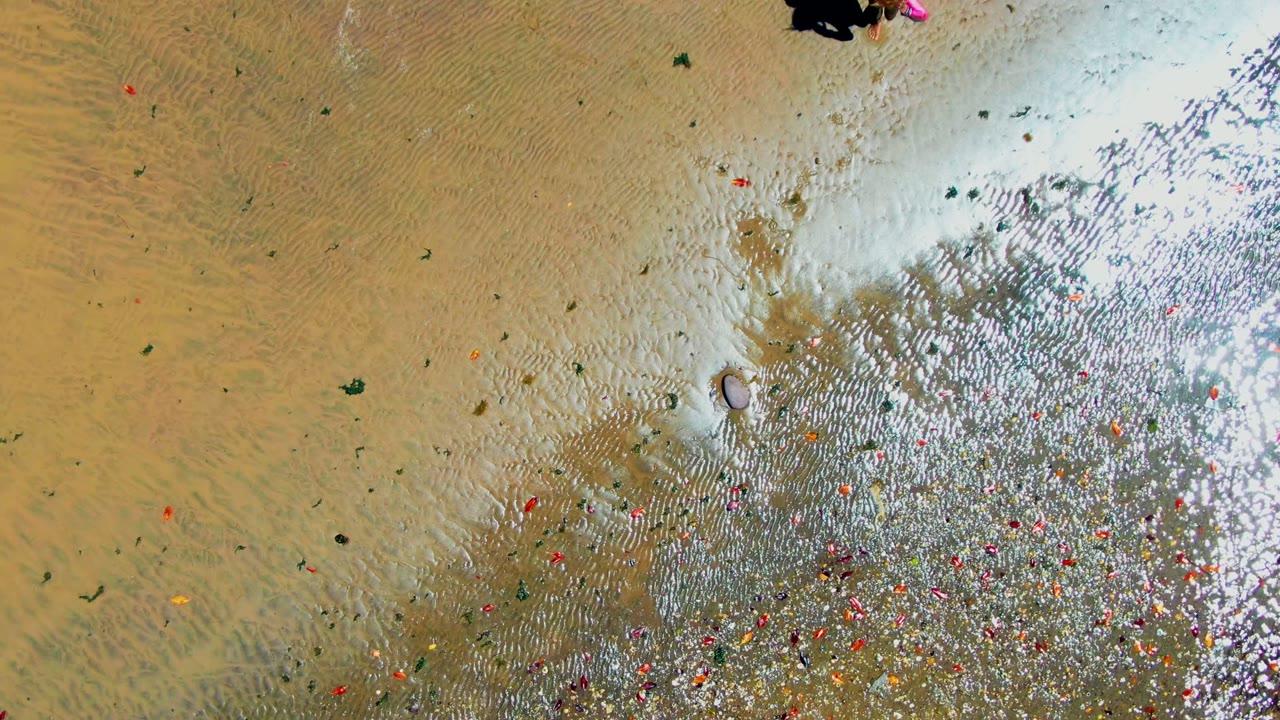At 0:02 in San Carlos, Baja California Sur, only part of the person remains visible along the top edge, while the frame is dominated by shallow reflective water, tan sand, and scattered floating debris.