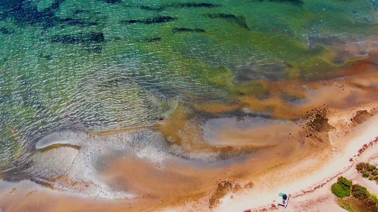 Aerial frame from San Carlos, Baja California Sur, Mexico showing clear green-blue water over wet sand, rust-brown tidal bands, a small shoreline vehicle, vegetation, and no visible people.
