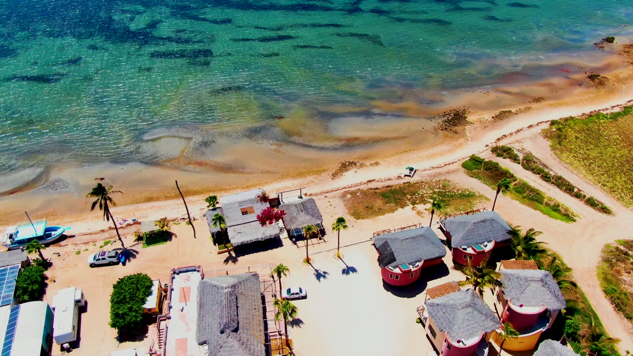 Aerial frame over San Carlos, Baja California Sur showing turquoise shallow water, a sandy beach road, palm trees, parked cars, red and thatched coastal buildings, a small blue boat, and no visible people.