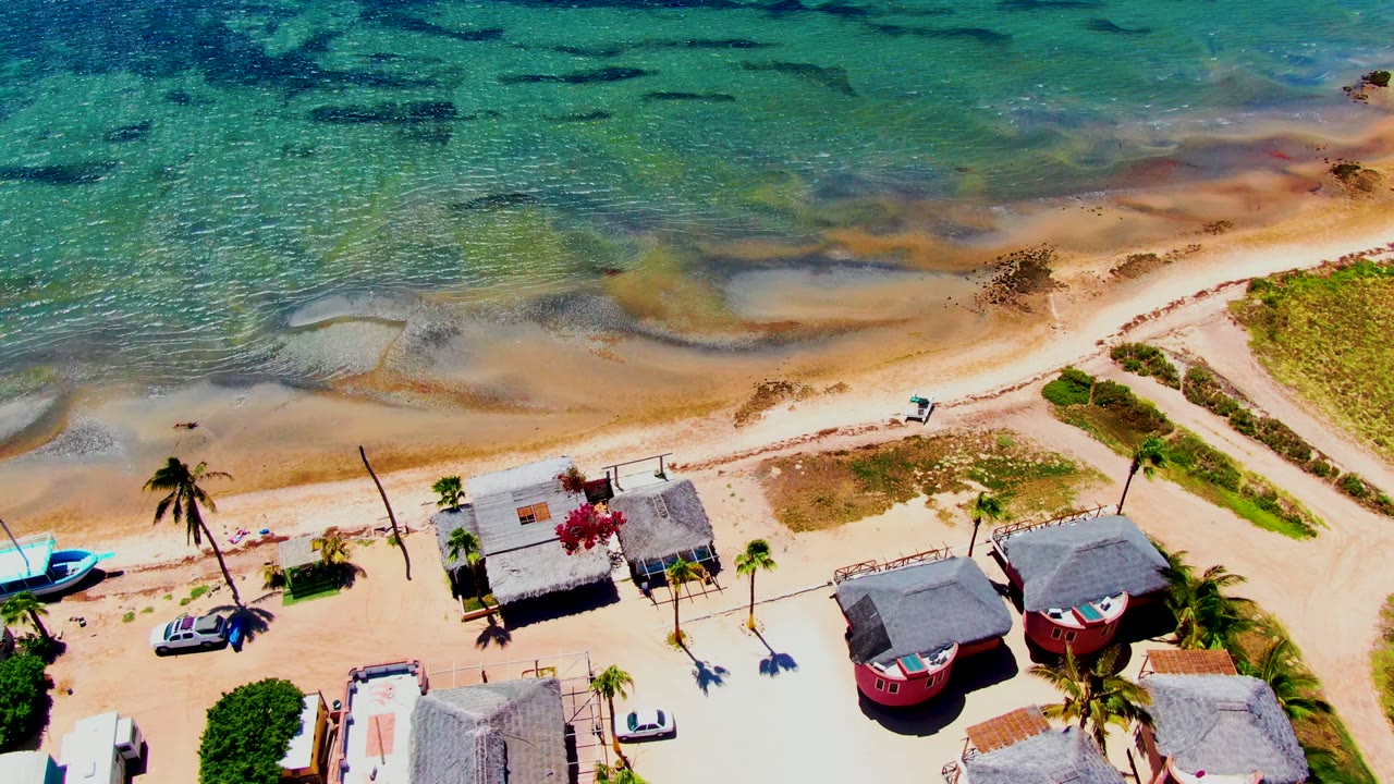 Drone view of shallow green-blue water, sandy shoreline, huts, red buildings, palms, cars, and beach road.