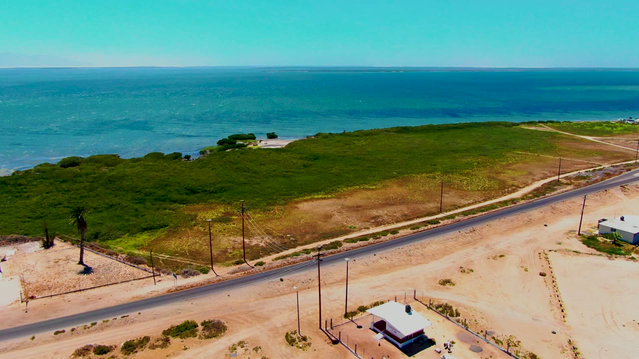 Coastal highway with utility poles, sandy lots, and ocean beyond greenery.
