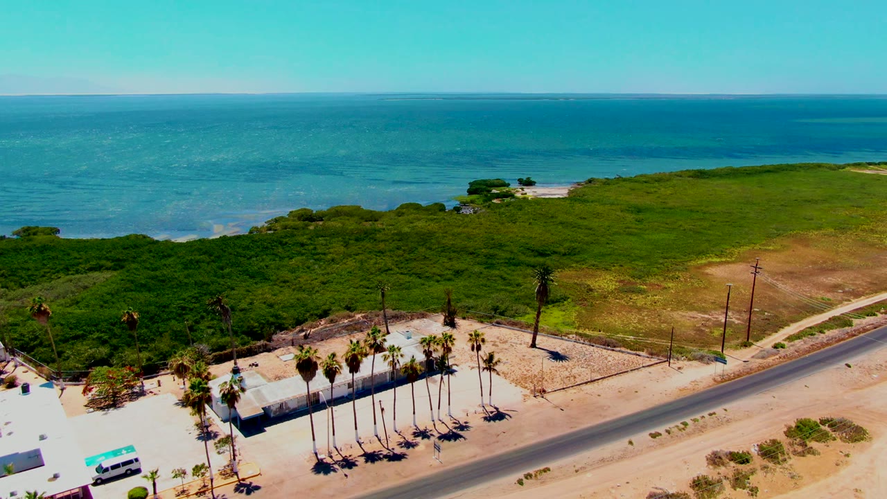 Aerial view in San Carlos, Baja California Sur, showing a paved coastal road below palm trees, green shoreline vegetation, turquoise ocean, clear sky, and no visible people.