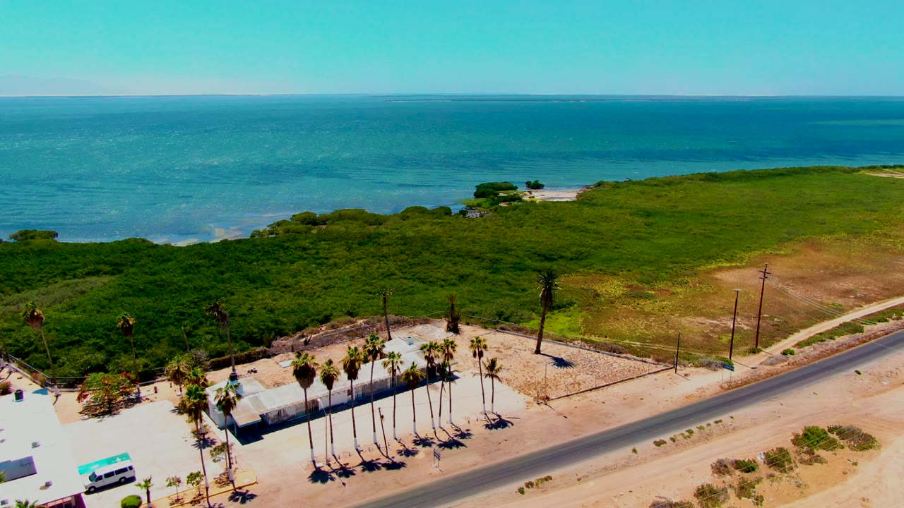 Coastal road with a white vehicle near palms and ocean beyond.
