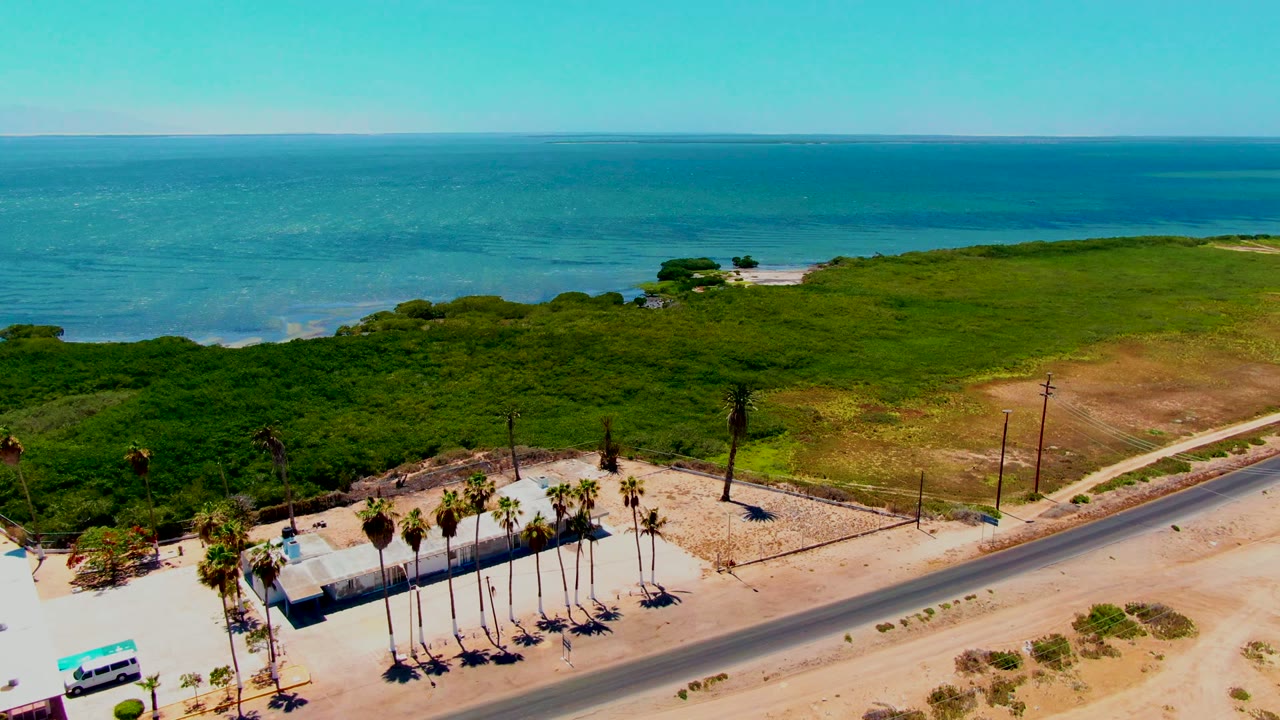 Wide aerial view over San Carlos, Baja California Sur, with the road crossing the sandy foreground, palms near a small lot, green coastal scrub, ocean, horizon, and no visible people.