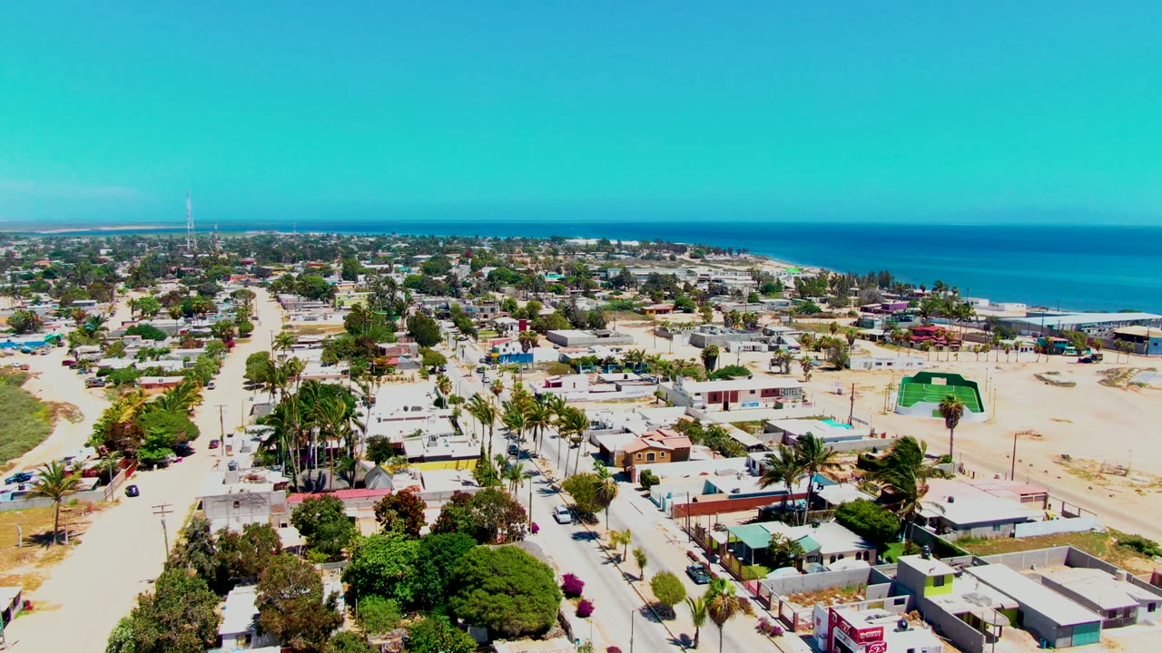 Aerial neighborhood view with palm trees, roads, houses, and blue ocean.