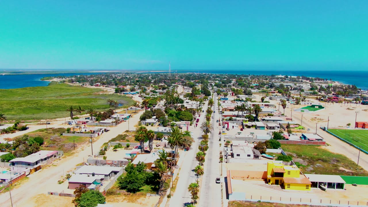 Drone view over homes, palms, a straight road, and ocean beyond town.