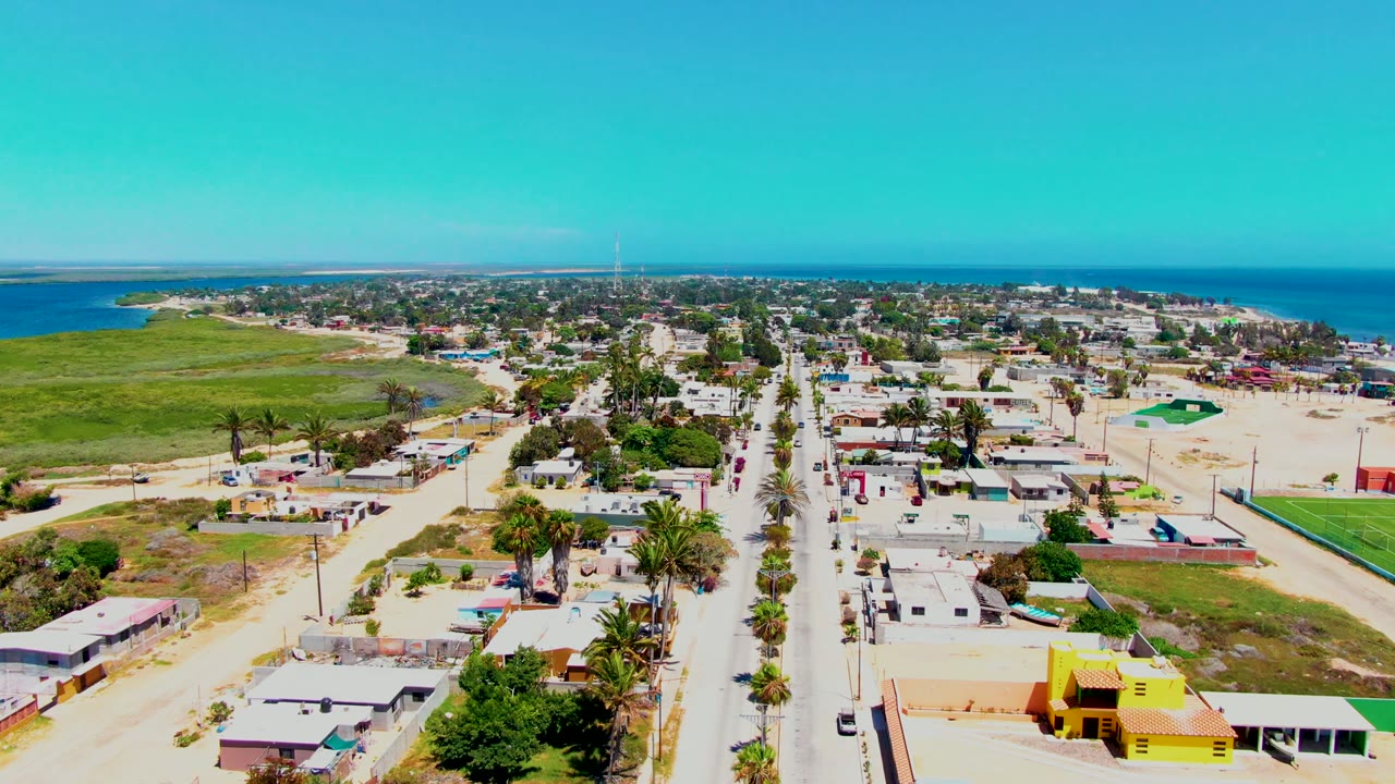 Drone frame in San Carlos with more rooftops visible along the road, palms near the foreground, green field at left, blue water across the background, and no visible people.