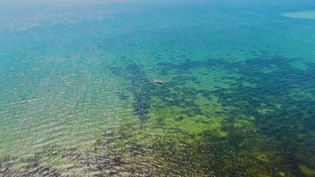 Overhead view of shallow turquoise water in San Carlos, Baja California Sur, with green and brown seabed patterns and a small boat near the upper left, no visible people.