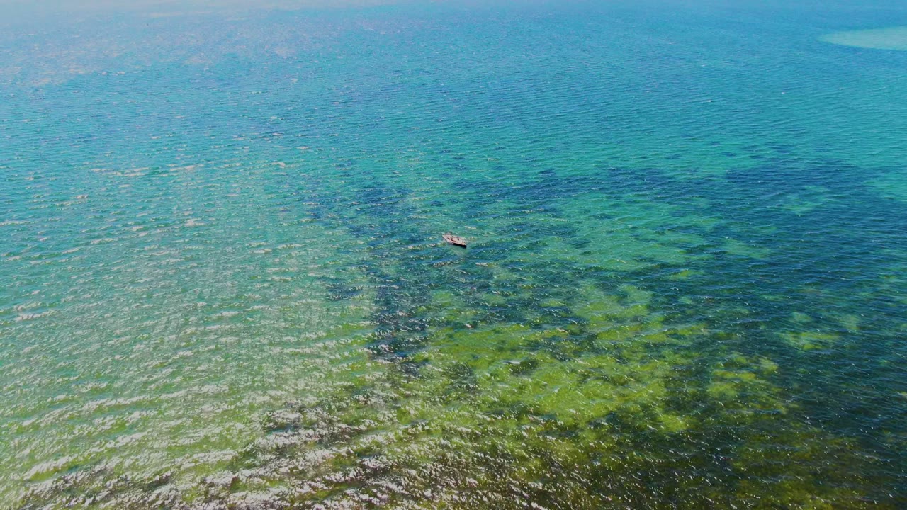 Overhead San Carlos coastal water frame with the boat near the upper center and darker underwater patches visible beneath rippled blue-green water, no visible people.