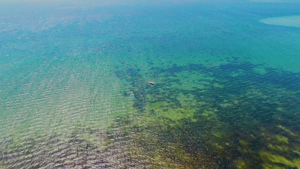 High aerial view over clear shallow water in San Carlos, Baja California Sur, with dark underwater vegetation, bright ripples, and no visible people.
