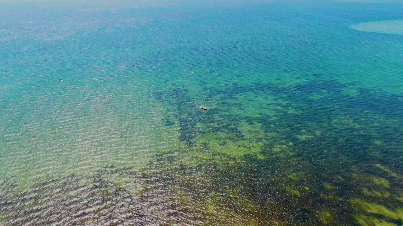 Turquoise shallow water with algae-like patches and a small object on the surface.