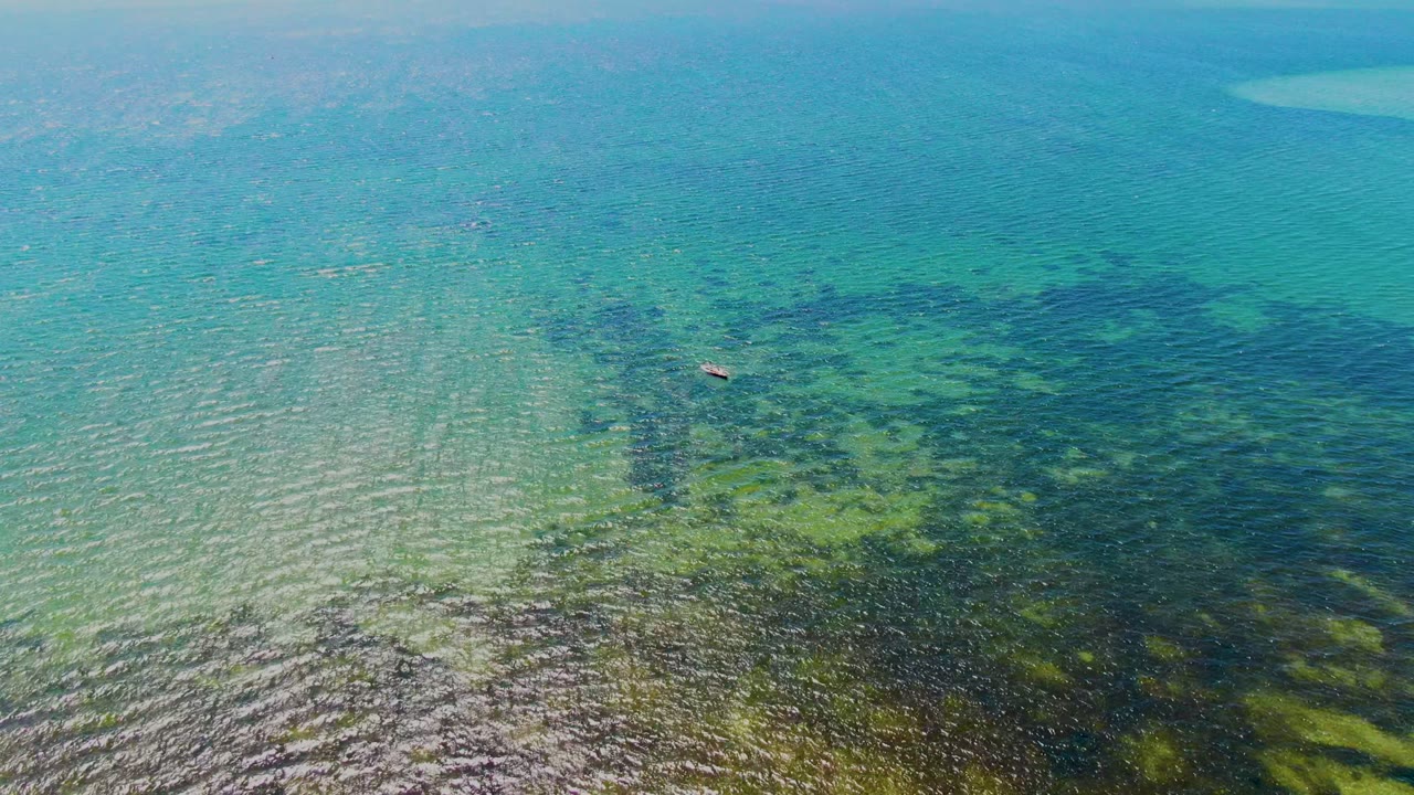 Clear blue-green water in San Carlos, Baja California Sur fills the frame, with darker seabed vegetation, wind ripples, a pale sandbar near the top, and no visible people.