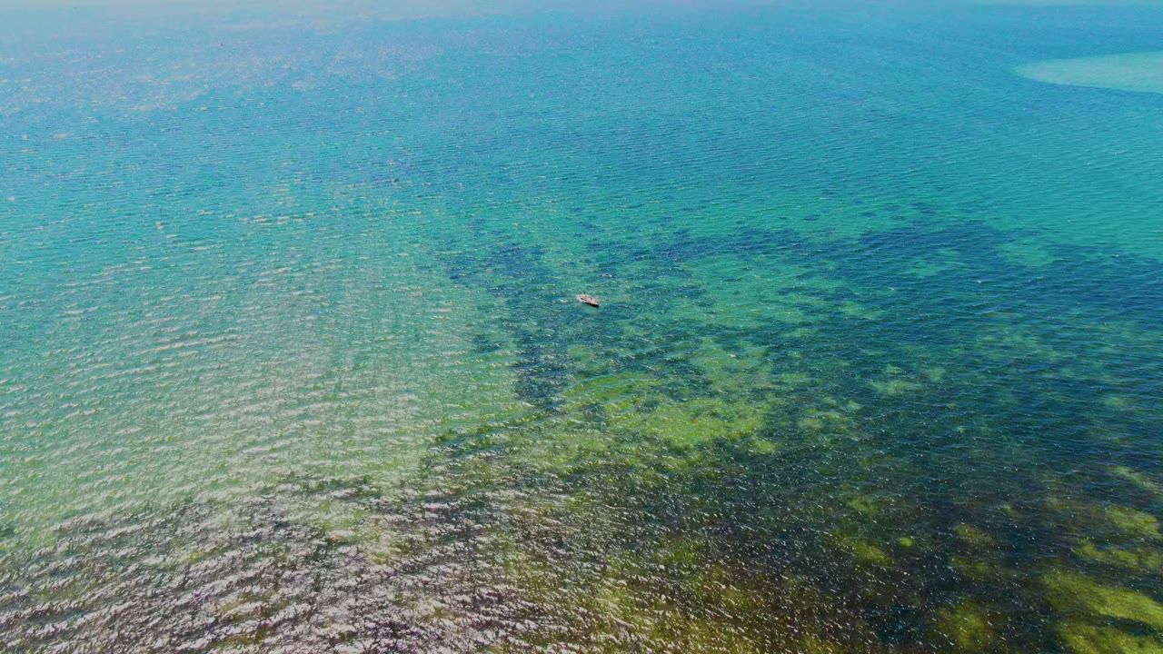 Overhead coastal water view with dark seabed patches and bright ripples.