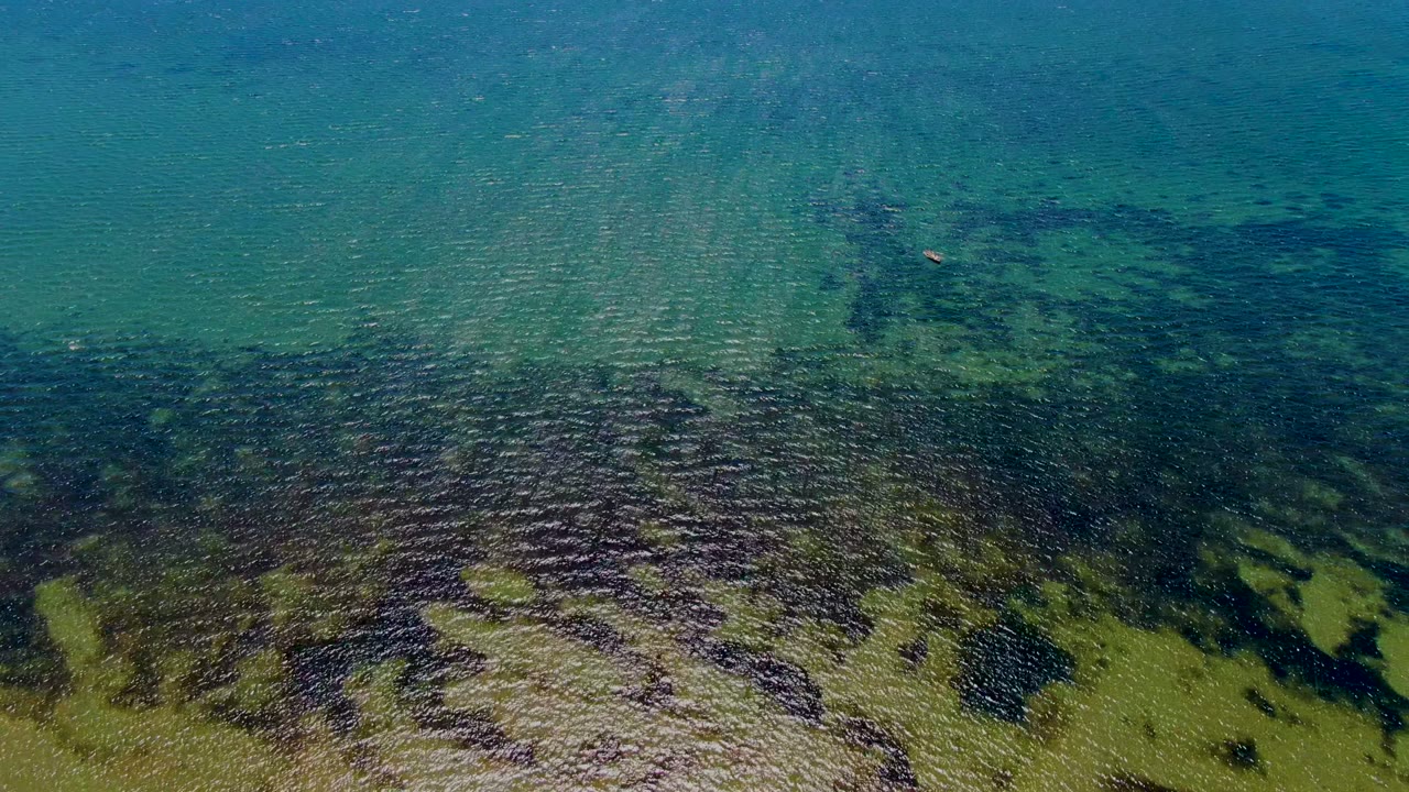 Top-down aerial frame in San Carlos, Baja California Sur showing turquoise shallow water, dark seaweed beds, lighter seabed areas, surface ripples, and no visible people.