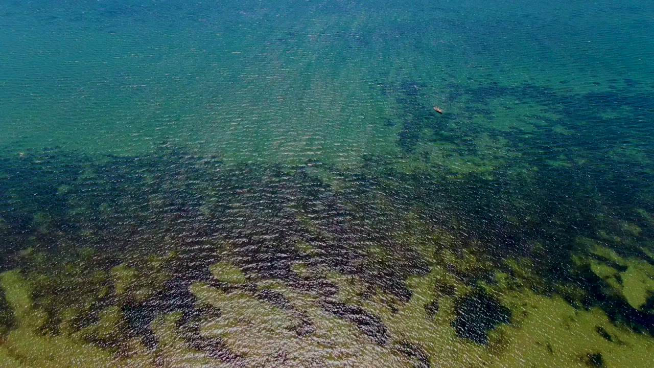 Clear green-blue water with seaweed beds and a small distant object near the upper frame.