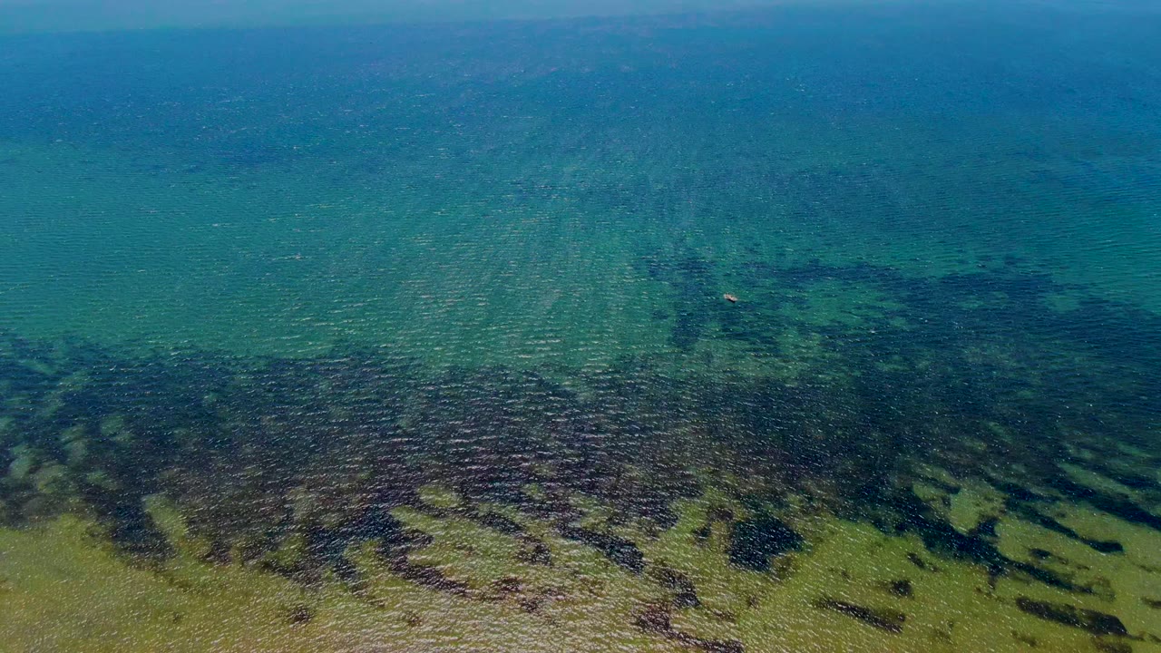 Blue-green coastal water with dark seabed vegetation and ripples