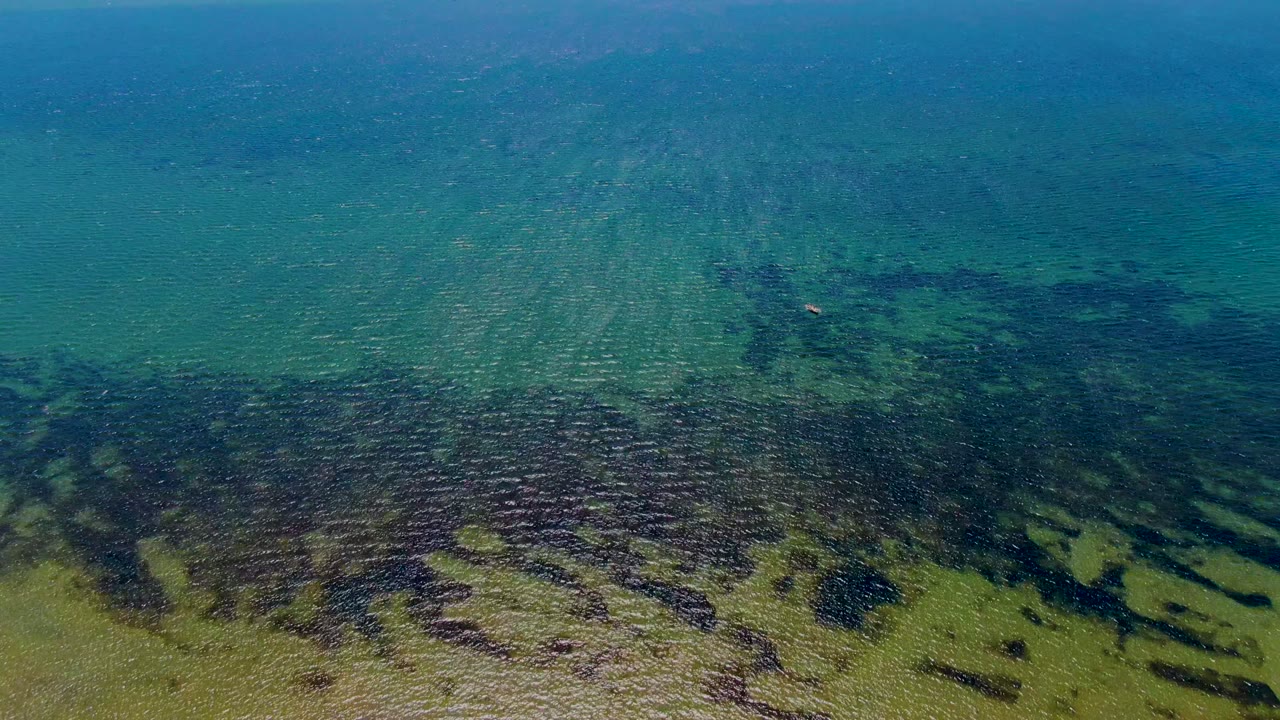 Mid-clip frame over San Carlos shallow water, where darker seabed growth contrasts with pale sandy areas beneath a lightly rippled surface and no visible people.